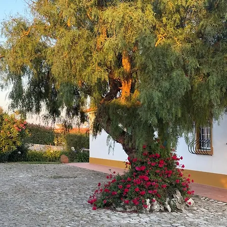 Monte De Santo Antonio - Amoreira (Leiria)